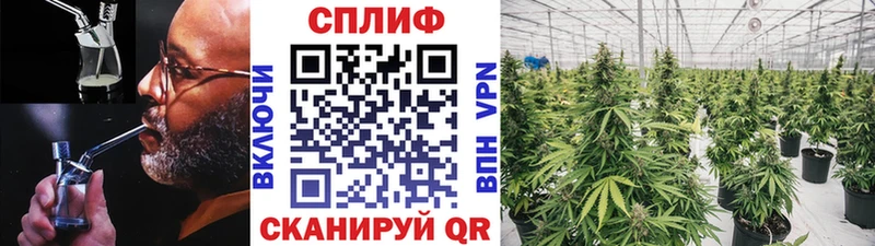 цены Давлеканово Бошки марихуана AK-47